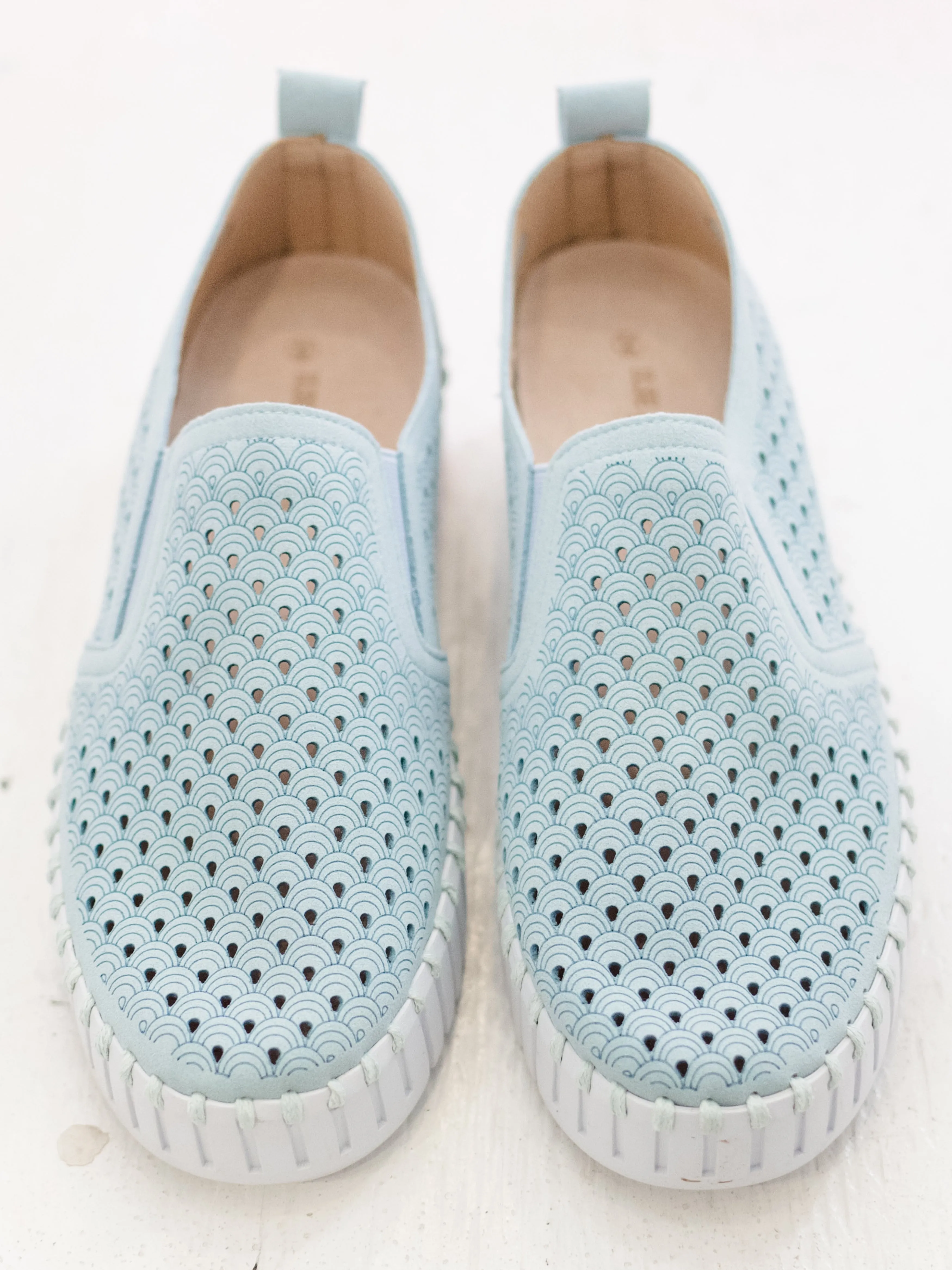 Tulip 141 Ash Blue by Ilse Jacobsen