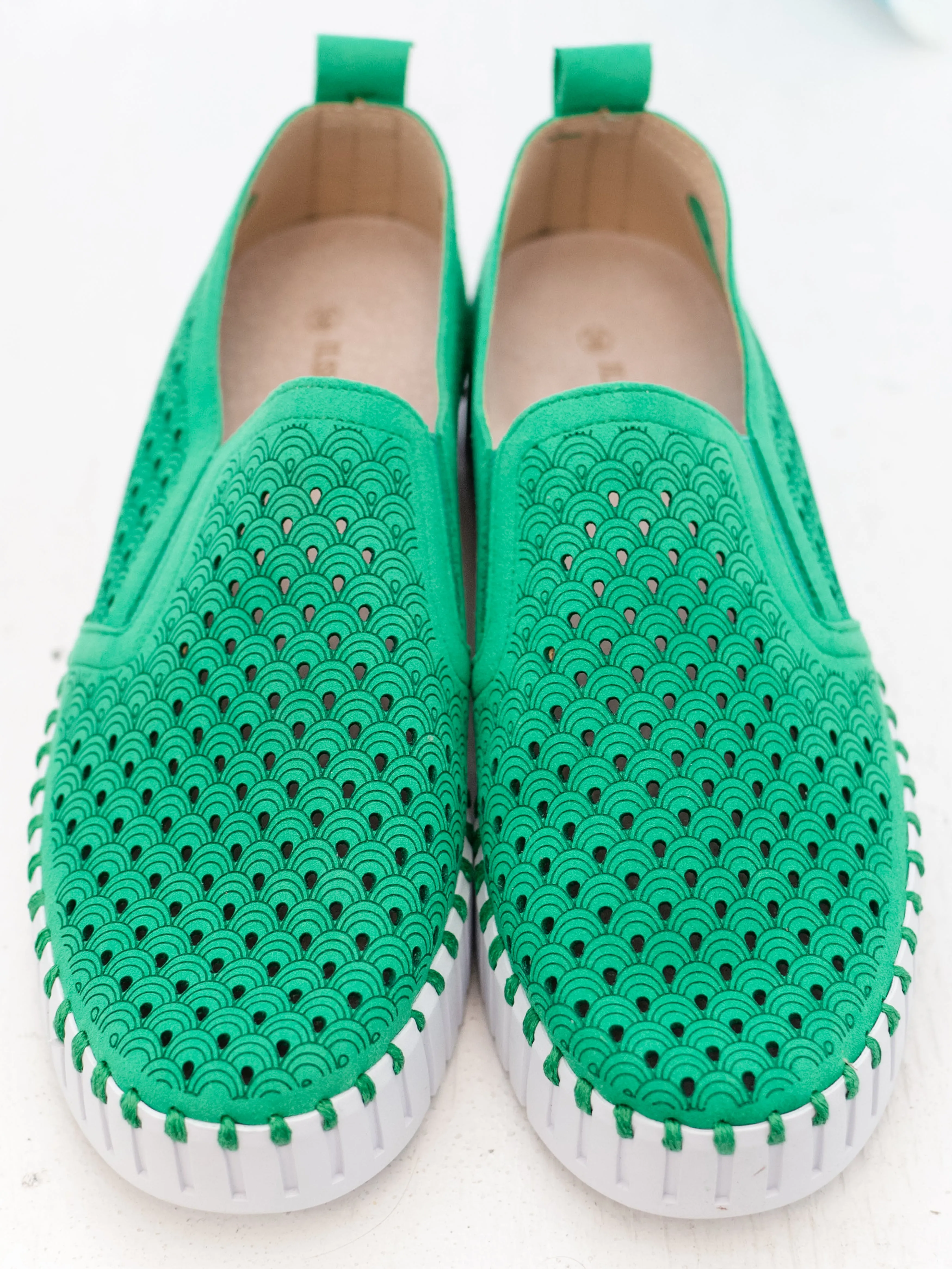 Tulip 141 Fern Green by Ilse Jacobsen